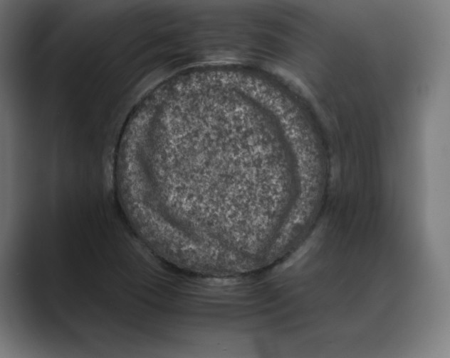 X0000088421409200706191208