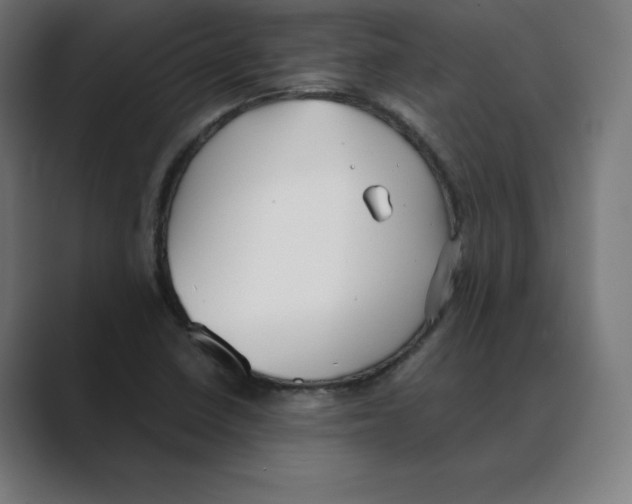 X0000088421410200706191208