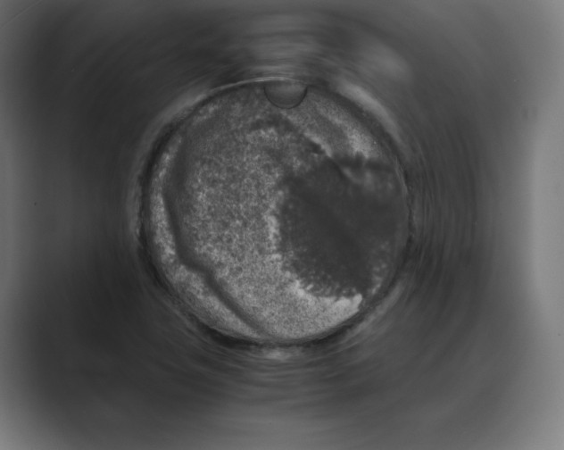 X0000088421411200706191208