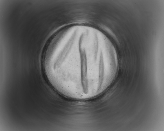 X0000088421412200706191208