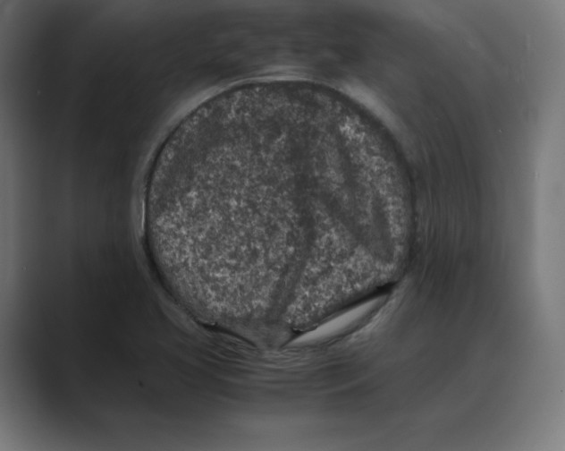 X0000088421413200706191208
