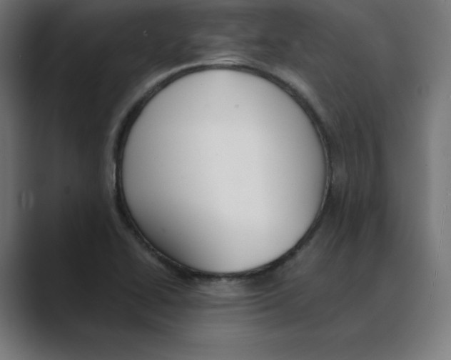 X0000088421414200706191208