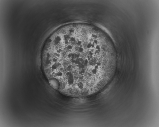 X0000088421415200706191208