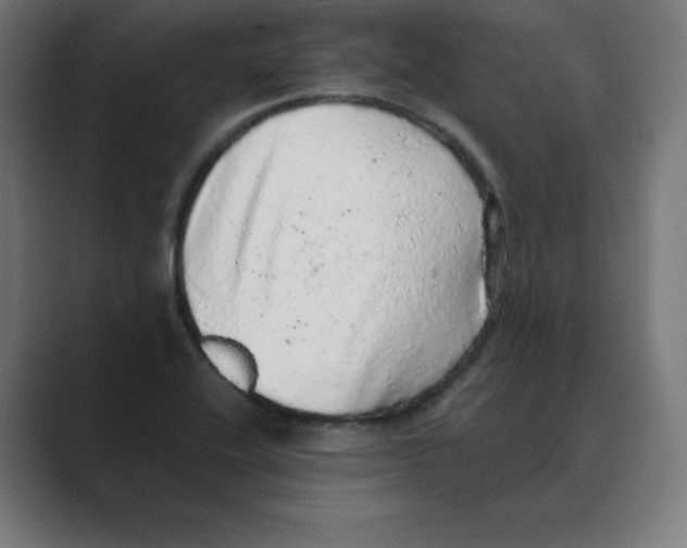 X0000088421416200706191208