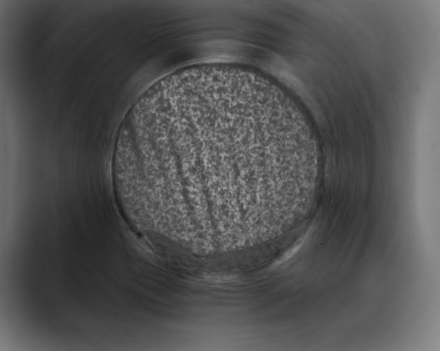 X0000088421417200706191208