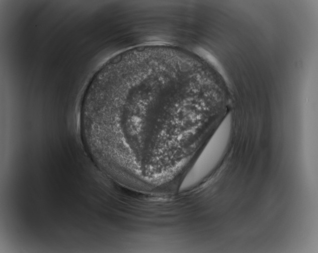 X0000088421419200706191208