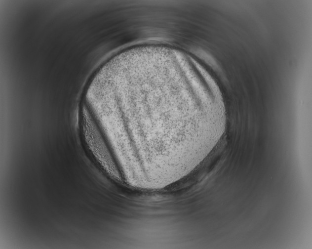 X0000088421420200706191208