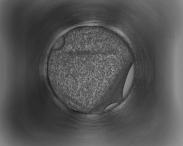 X0000088421421200706191208