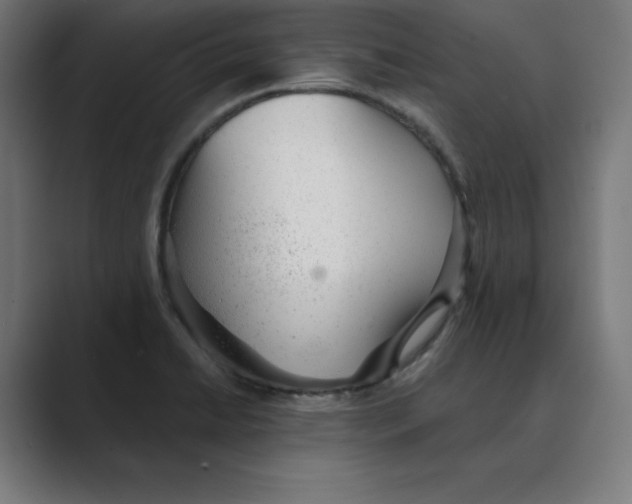 X0000088421422200706191208