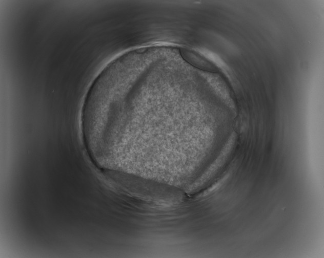 X0000088421423200706191208