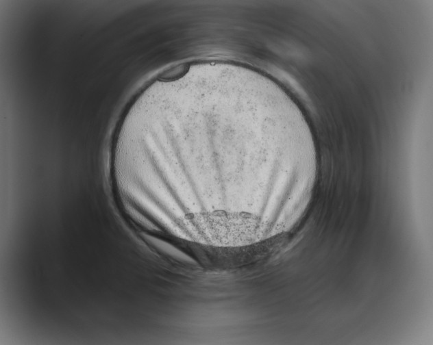 X0000088421424200706191208