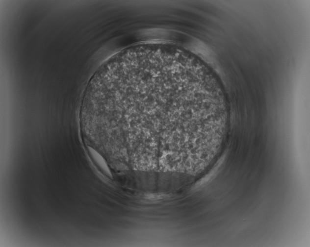 X0000088421425200706191208