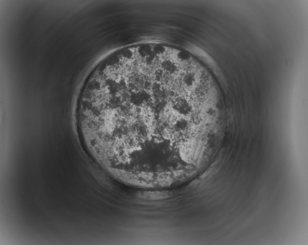X0000088421427200706191208