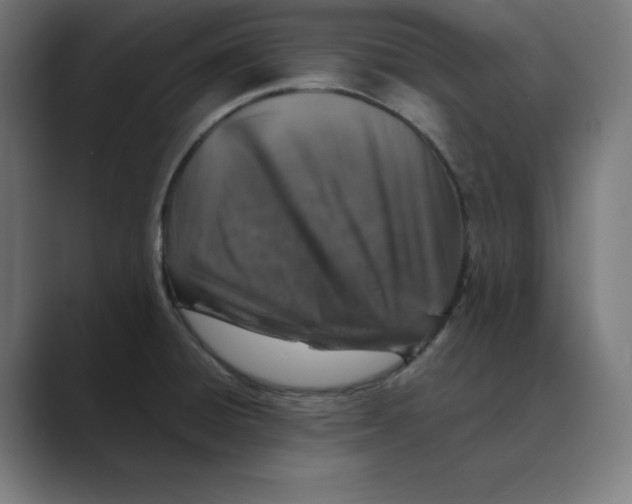 X0000088421428200706191208