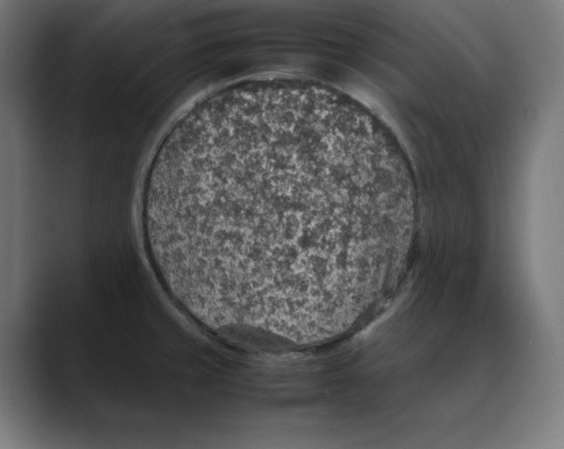 X0000088421429200706191208