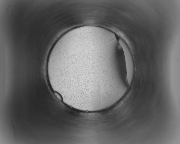 X0000088421432200706191208