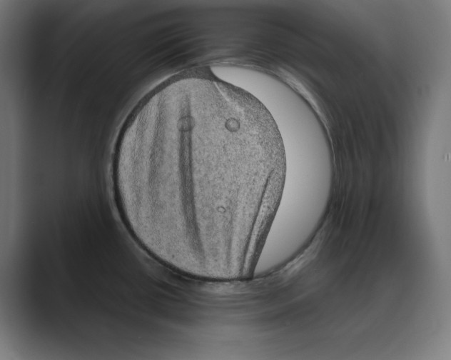X0000088421434200706191208
