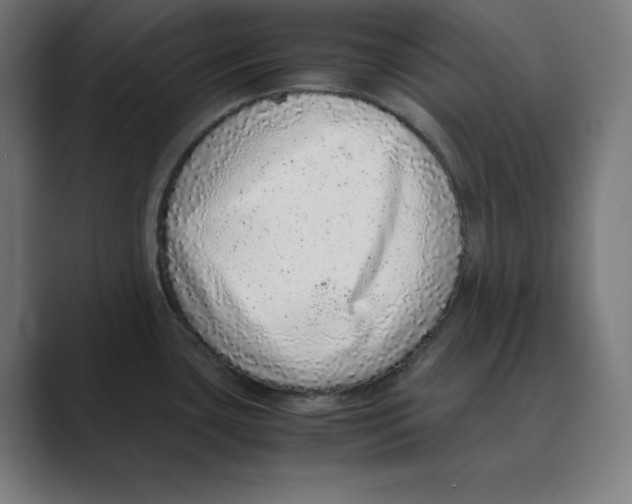X0000088421435200706191208