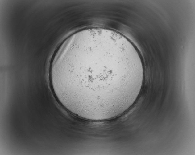 X0000088421437200706191208