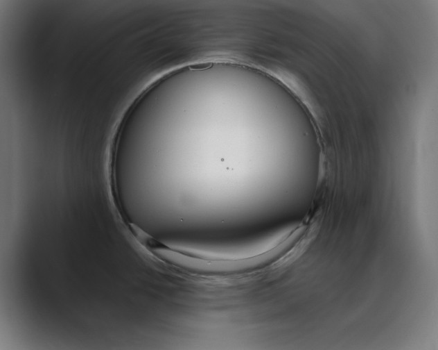 X0000088421438200706191208