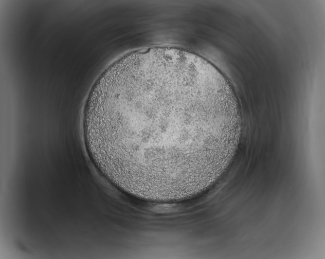 X0000088421439200706191208