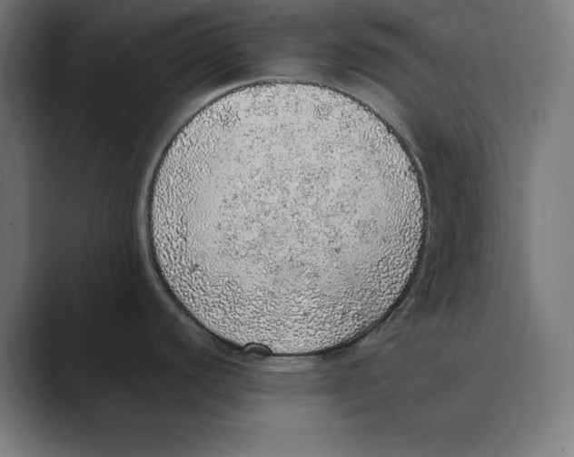 X0000088421440200706191208