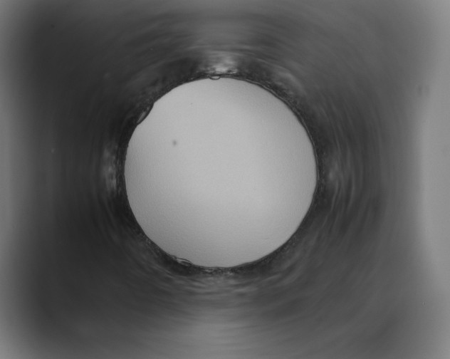 X0000088421442200706191207