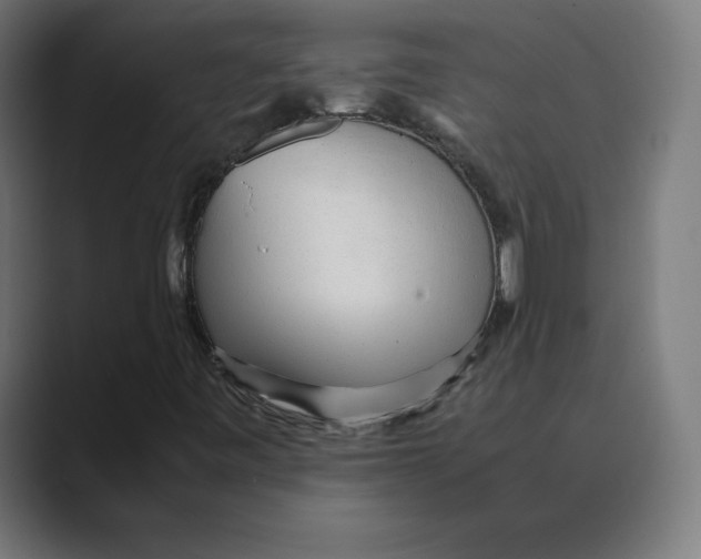 X0000088421443200706191207