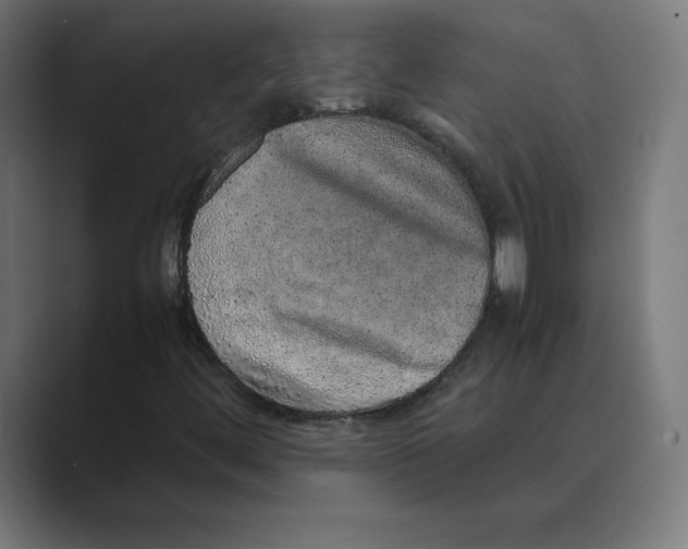 X0000088421444200706191207