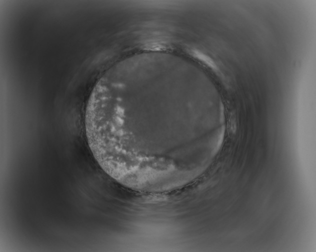 X0000088421446200706191207