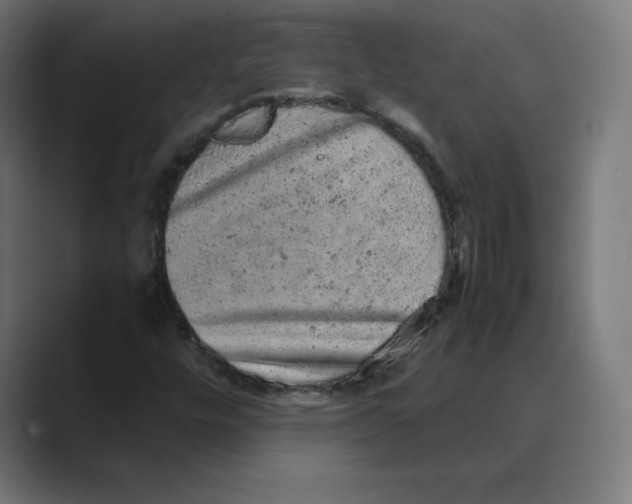 X0000088421448200706191207