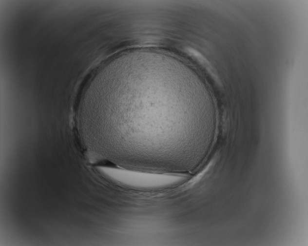 X0000088421449200706191207