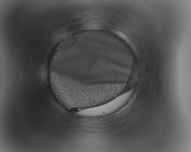 X0000088421450200706191207