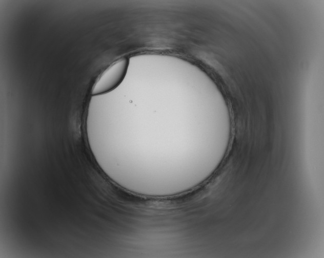 X0000088421451200706191207