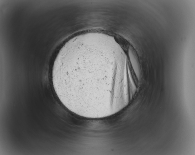X0000088421452200706191207