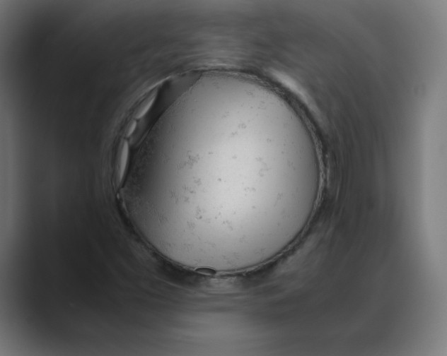 X0000088421453200706191207