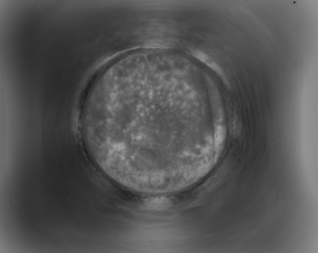 X0000088421454200706191207