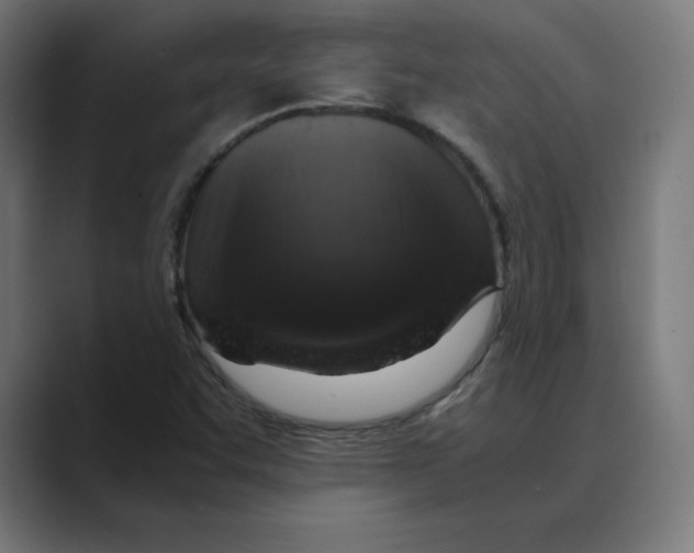 X0000088421455200706191207