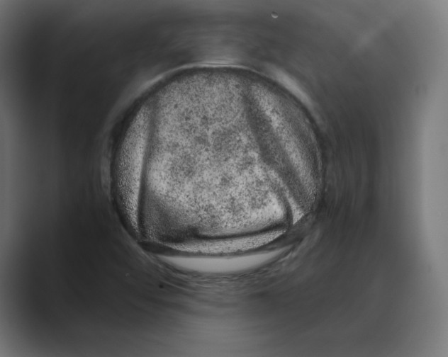 X0000088421456200706191207