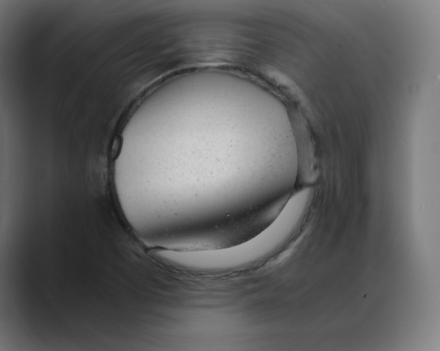 X0000088421457200706191207