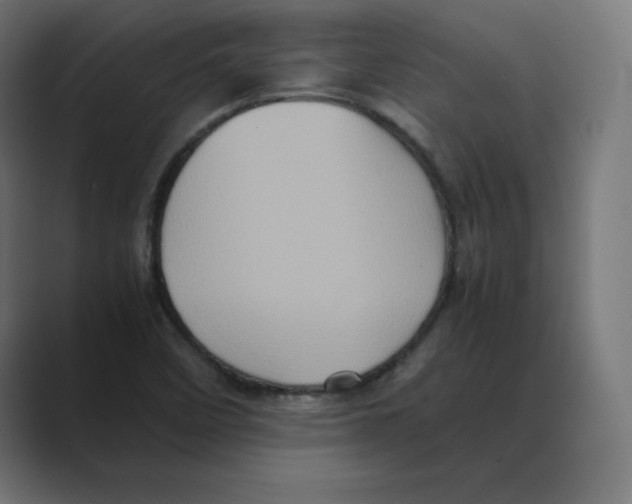X0000088421458200706191207