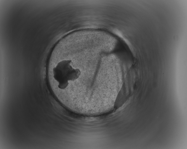 X0000088421459200706191207
