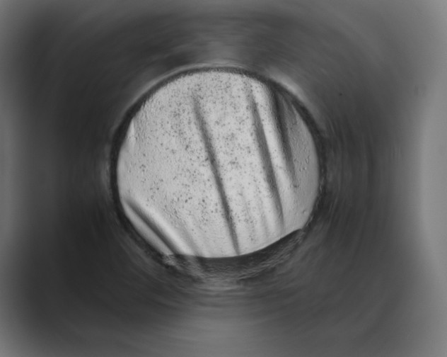 X0000088421460200706191207