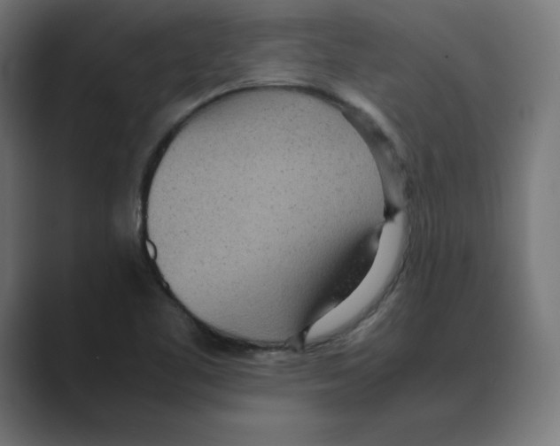 X0000088421461200706191207