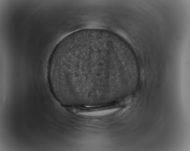X0000088421463200706191207