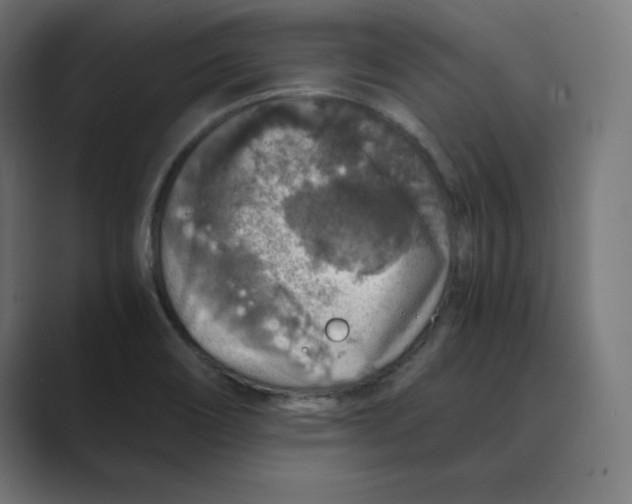 X0000088421466200706191207