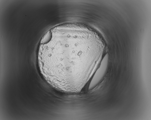 X0000088421467200706191207