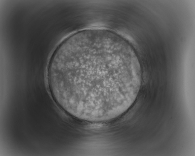X0000088421470200706191207