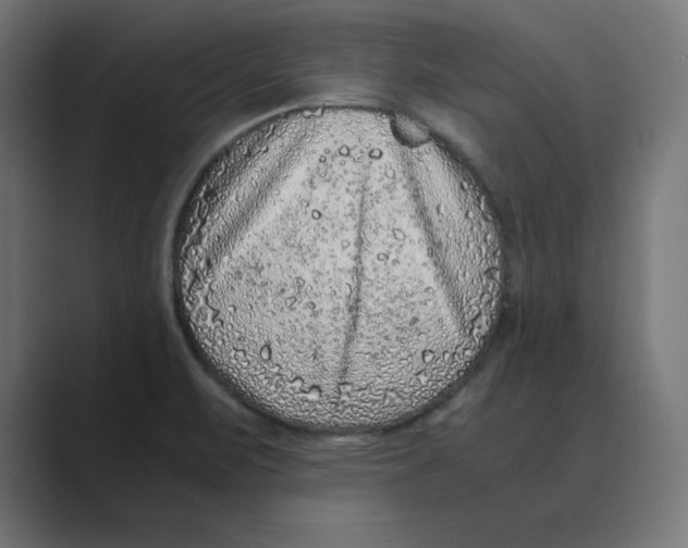 X0000088421471200706191207
