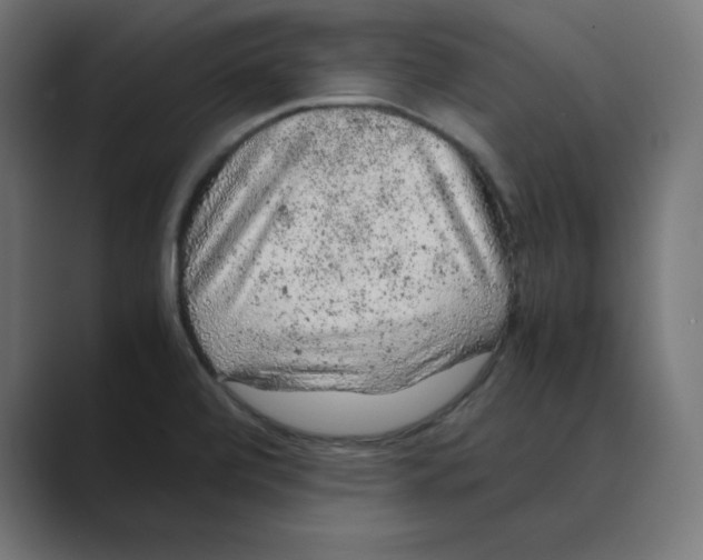 X0000088421472200706191207